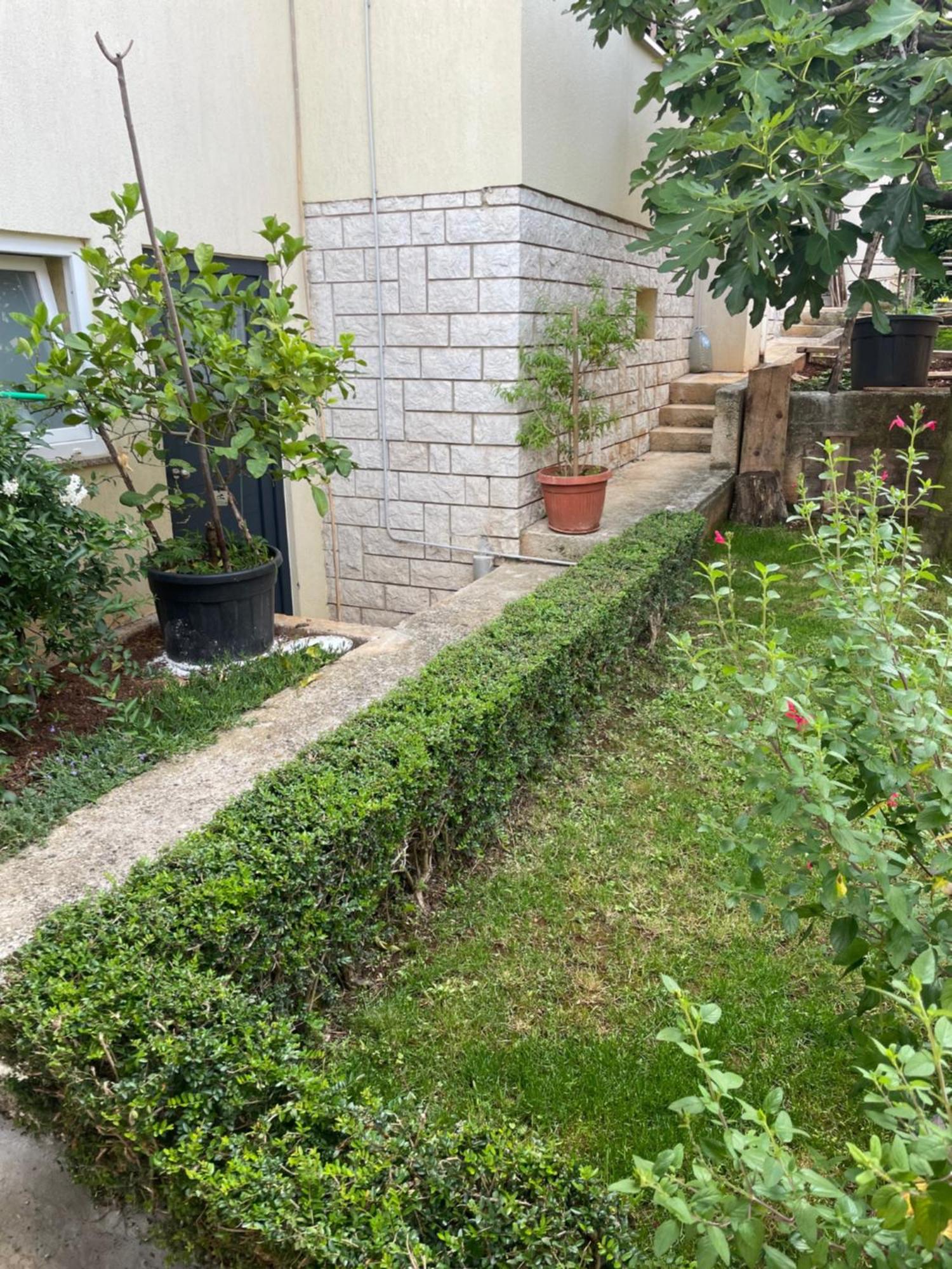 Apartmani Darko Rovinj Eksteriør bilde